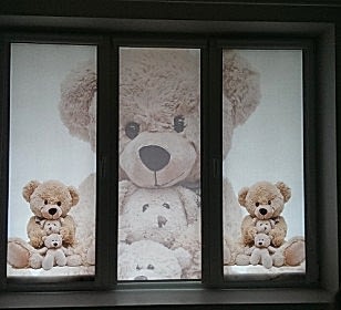 IMAG0913