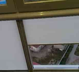 IMAG1183