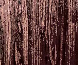 Black-Cherry