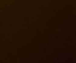 Chocolate-Brown