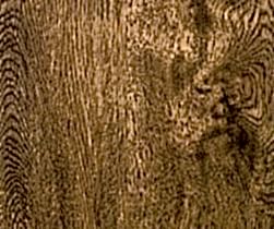 GSSerwood