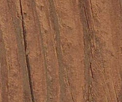Antigue_Pine