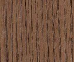 Northern_Oak