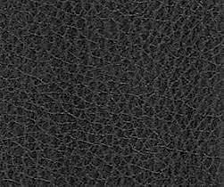 U7_Leather