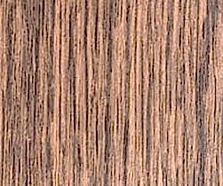 Birch-Tree-1