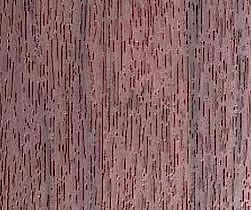 Black-Cherry-1