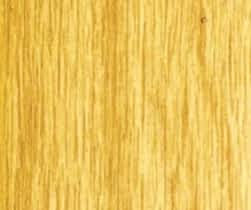 Pine-Tree-1