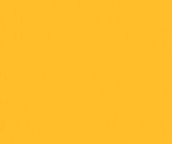 RAL1003_-