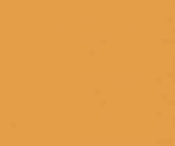 RAL1006--