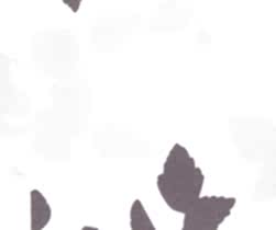 417